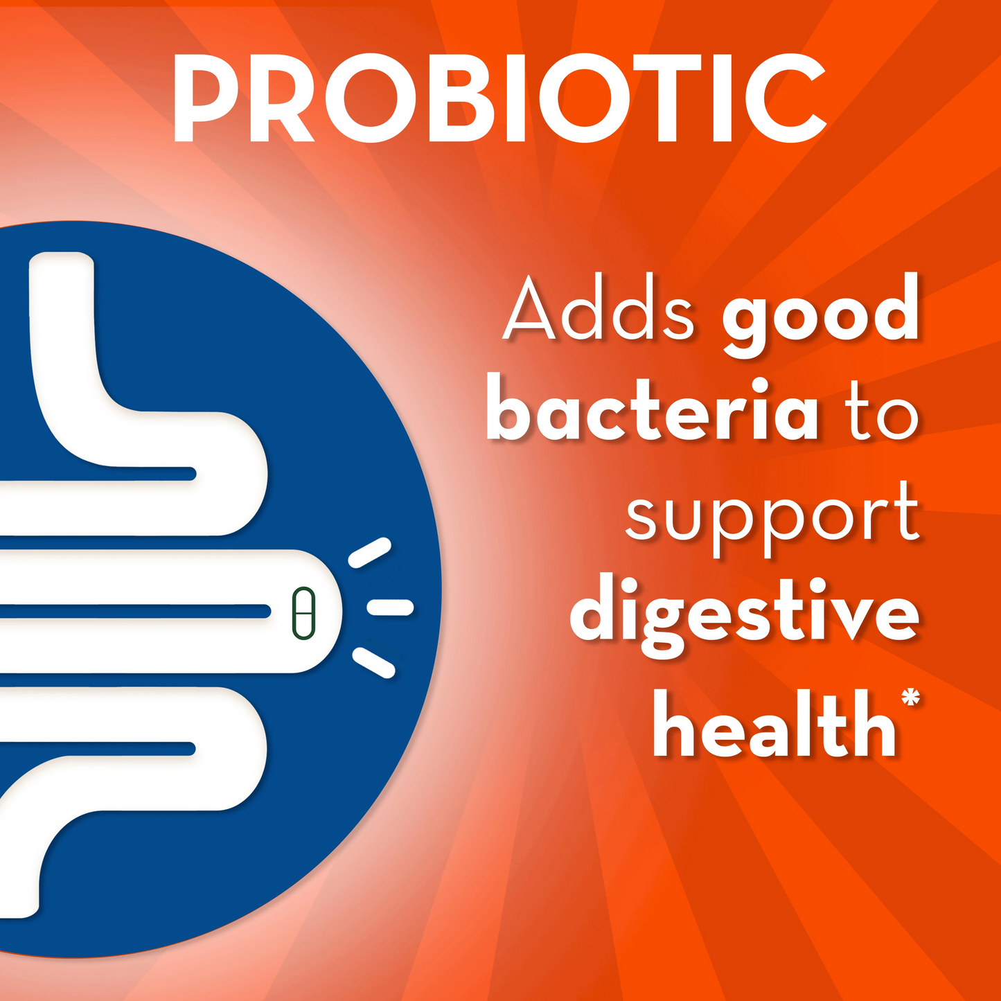 Align Bloating Relief + Food Digestion Probiotics Supplement Capsules