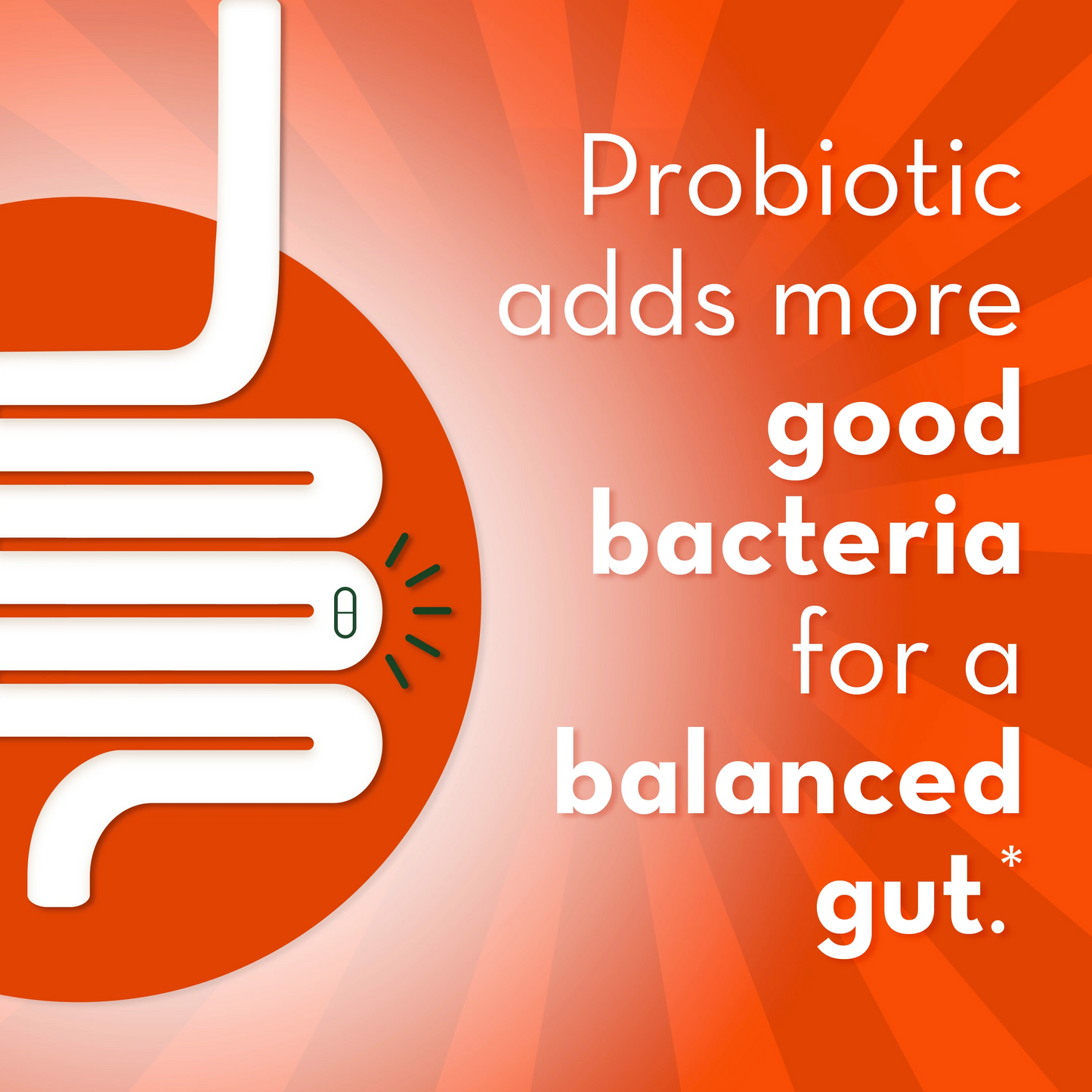 Align 24/7 Digestive Support*§ Probiotic Supplement